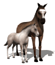 zaldia animatutako-irudiak-gif